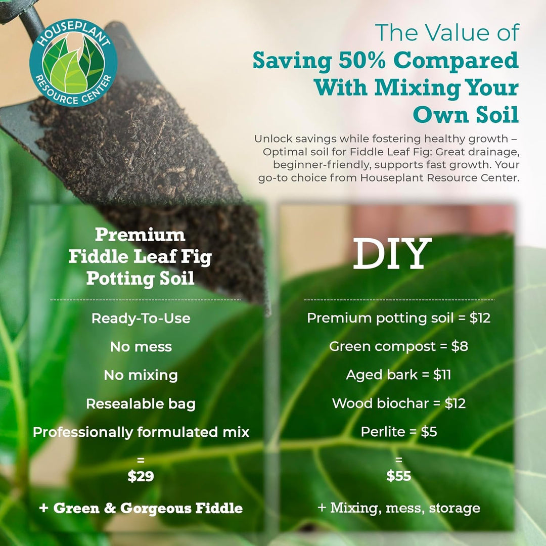 fiddle-leaf fig soil 100% Organic Fiddle Leaf Fig Potting Soil Mix — Nutrient Rich, Well-Dr – Houseplant Resource Center