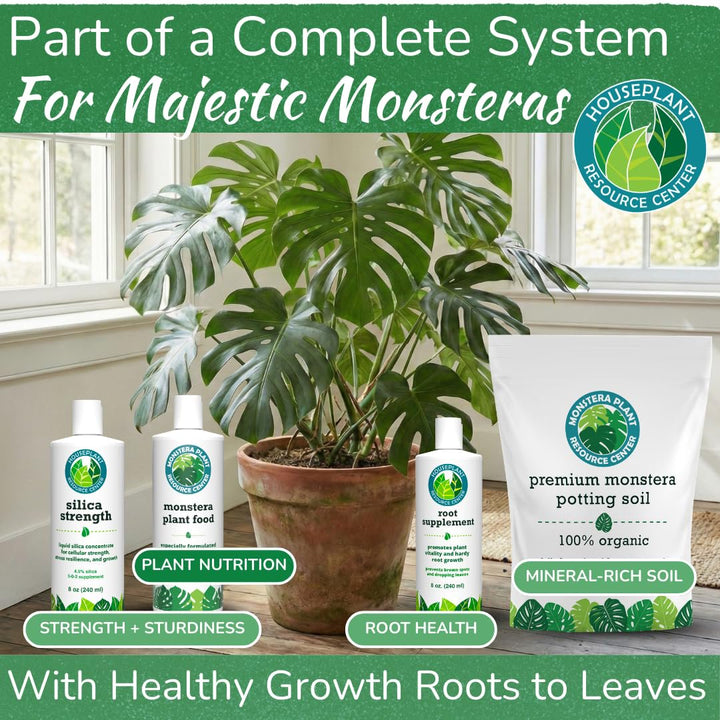 Monstera Plant Food – Enriched, Bioavailable Liquid Fertilizer | 8 oz
