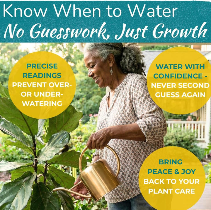 Fiddle Leaf Fig 3-in-1 Soil Meter — Measures Light, Moisture & pH for Optimal Growth | Battery-Free