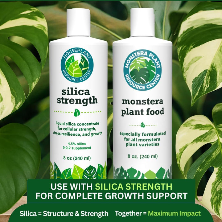 Silica Strength – Liquid Potassium Silica (4.5%) Concentrate | 8 oz