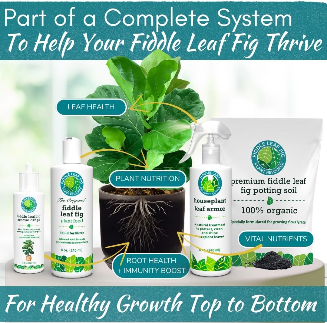 best fig potting mix 100% Organic Fiddle Leaf Fig Potting Soil Mix — Nutrient Rich, Well-Draining Living Soil Blend