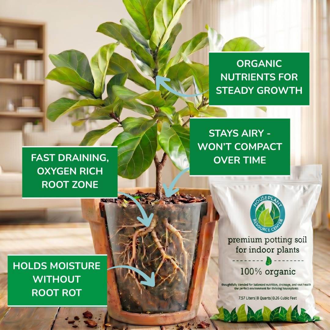 100% Organic Indoor Plant Potting Soil Mix — Nutrient Rich, Well-Draining Living Soil Blend | 8 quarts