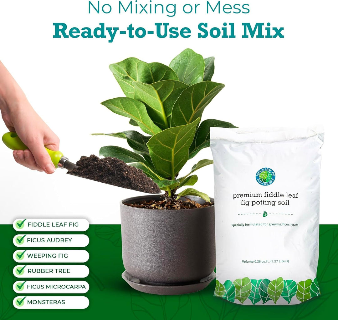 potting mix for fiddle leaf 100% Organic Fiddle Leaf Fig Potting Soil Mix — Nutrient Rich, Well-Draining Living Soil Blend