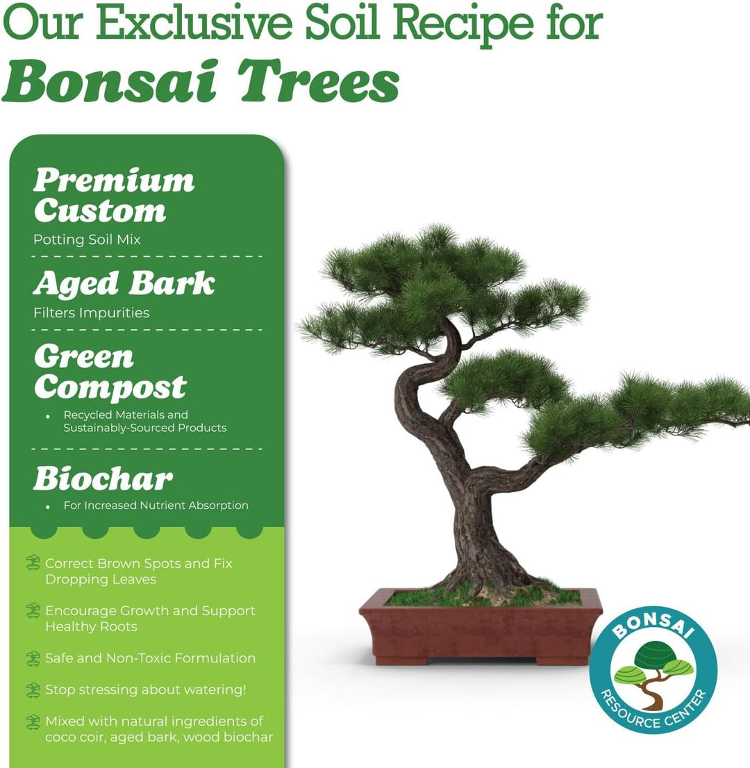 100% Organic Bonsai, Succulent, Cactus Soil Mix — Nutrient Rich, Well-Draining Living Soil Blend | 6.55 quarts