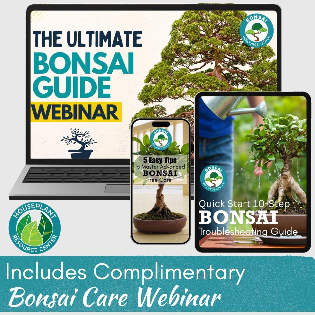 cactus potting mix for bonsai 100% Organic Bonsai, Succulent, Cactus Soil Mix — Nutrient Rich, Well- – Houseplant Resource Center