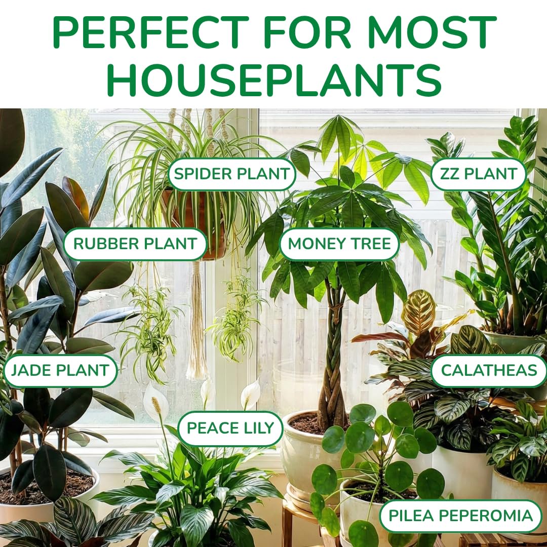 100% Organic Indoor Plant Potting Soil Mix — Nutrient Rich, Well-Draining Living Soil Blend | 8 quarts