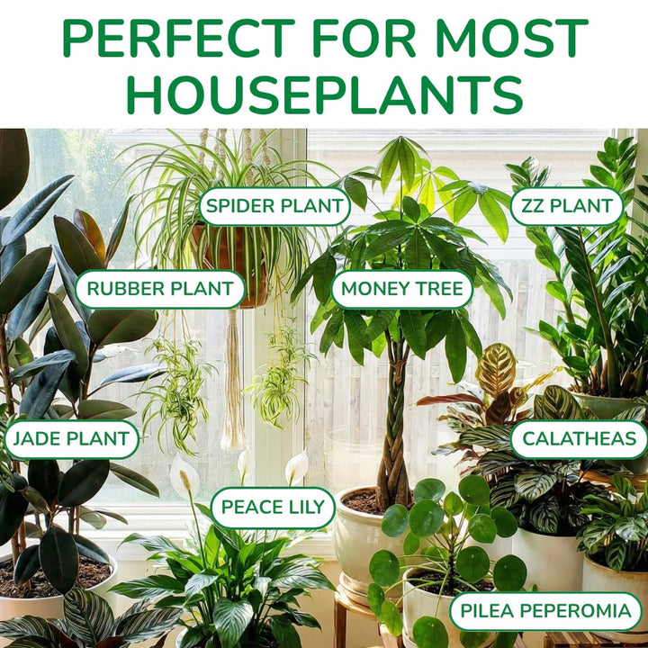 100% Organic Indoor Plant Potting Soil Mix — Nutrient Rich, Well-Draining Living Soil Blend | 8 quarts