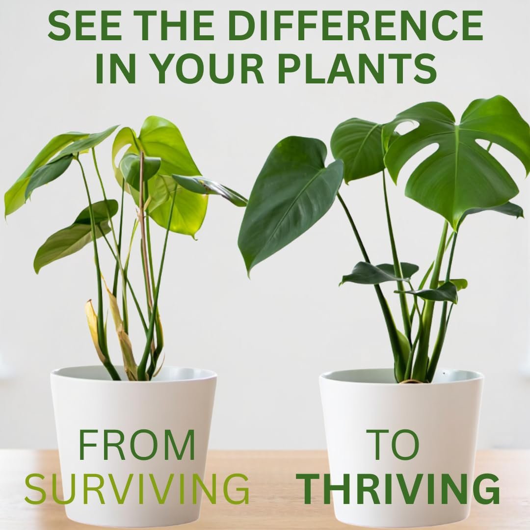 indoor plants that need potassium Silica Strength – Liquid Potassium Silica (4.5%) Concentrate