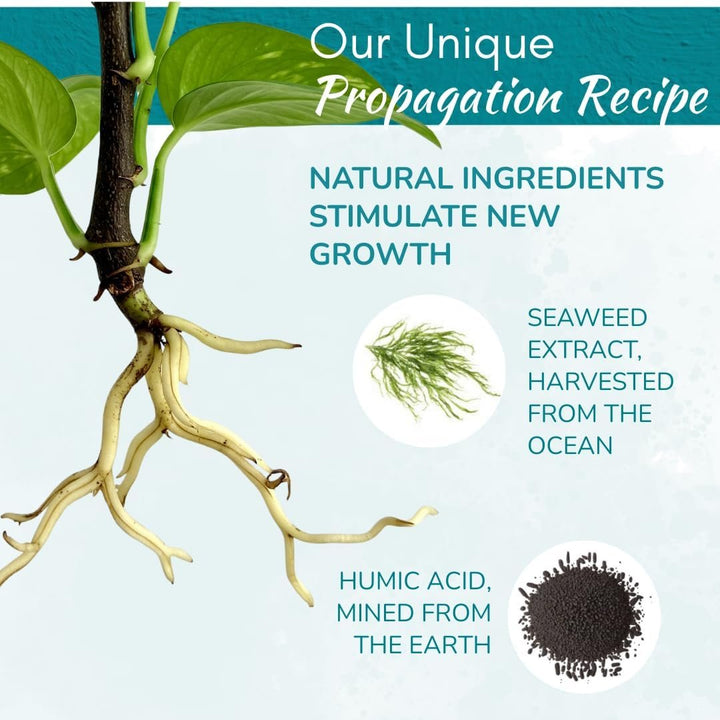 Houseplant Prop Drops – Propagation Promoter & Root Growth Hormone | 8 oz