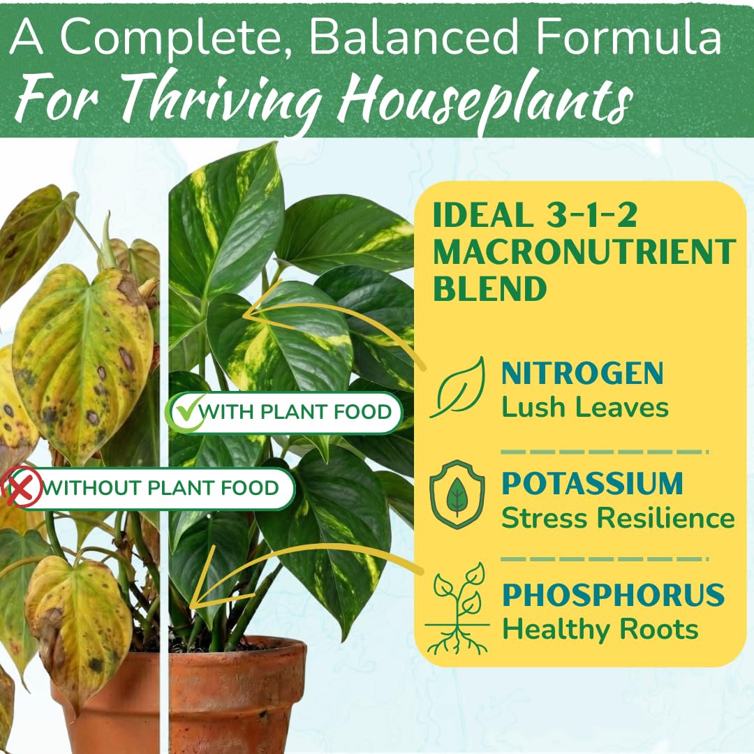 Indoor Plant Food - Versatile, Bioavailable Liquid Fertilizer | 8 oz