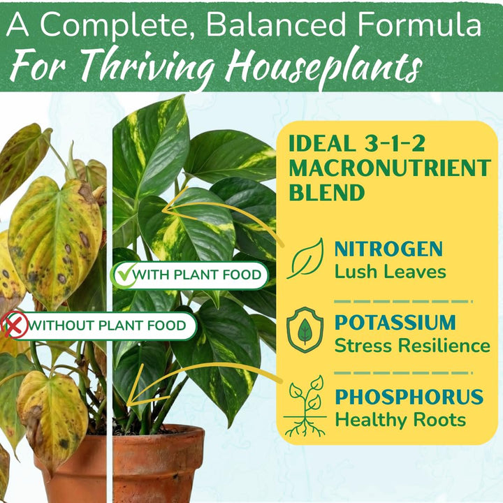 Indoor Plant Food - Versatile, Bioavailable Liquid Fertilizer | 8 oz
