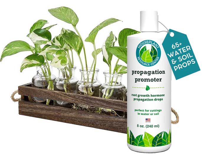 Propagation Promoter |(Prop Drops)