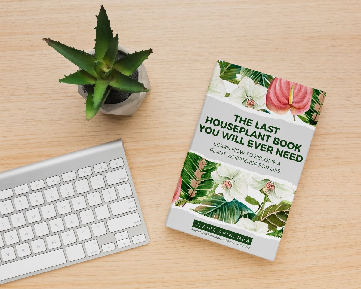 The Last Houseplant Book You Will Ever Need
