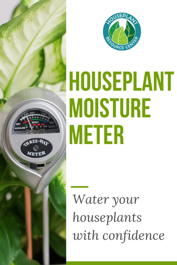 Houseplant Moisture Meter Water Your Houseplants With Confidence