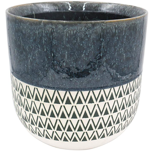 The Best Pots for Majesty Palms Houseplant Resource Center