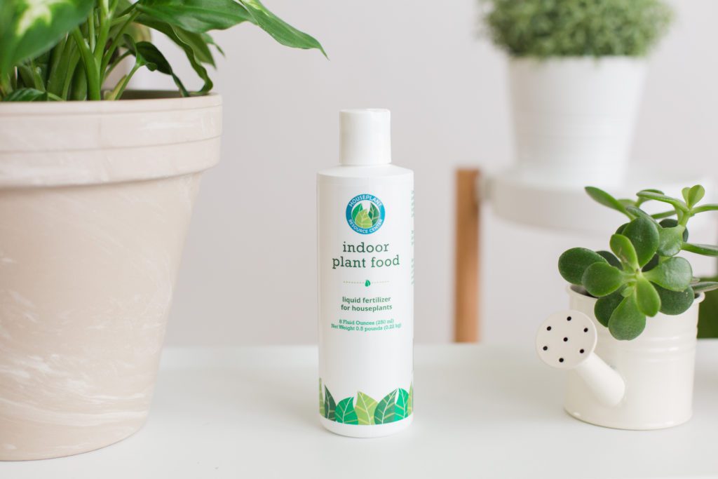 The Best Fertilizer for Peace Lilies Houseplant Resource Center