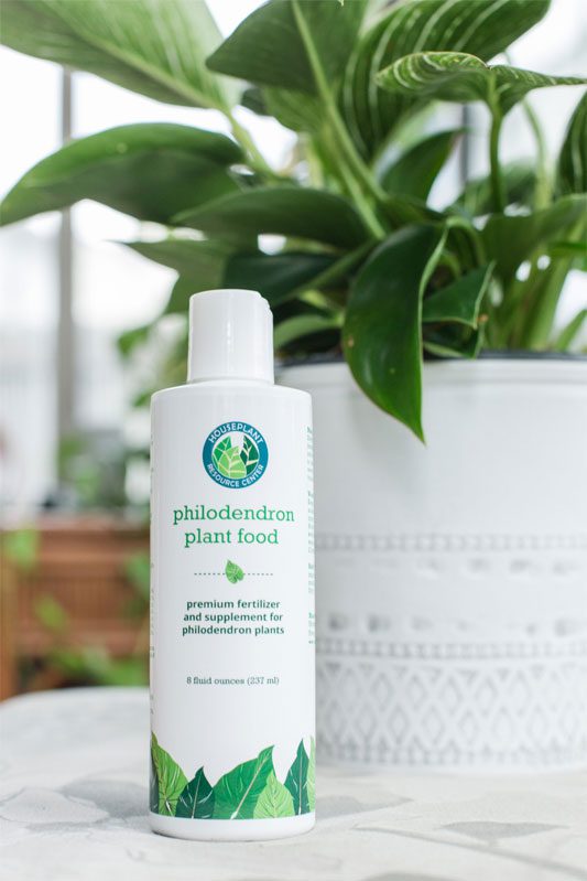 Philodendron-Plant-Food