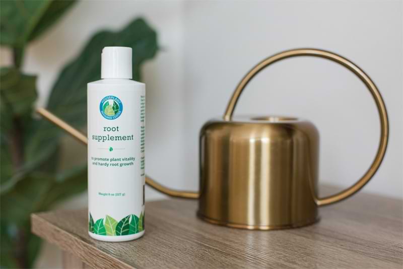Don’t let a houseplant lover go another holiday season without these amazing houseplant gifts that guarantee the very best in care and style.