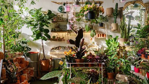 With a few simple adjustments, you can keep your plants happy and your home looking lively. Read about troubleshooting houseplant care tips.